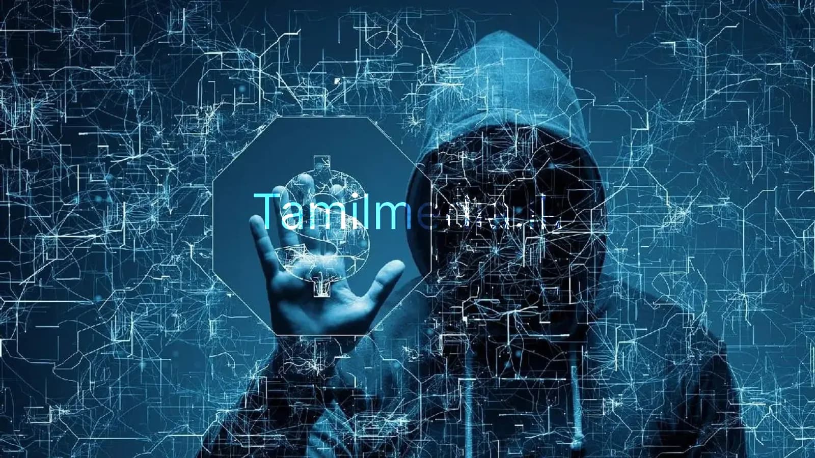 இலங்கையில் அதிகரிக்கும் சைபர் குற்றங்கள்..!