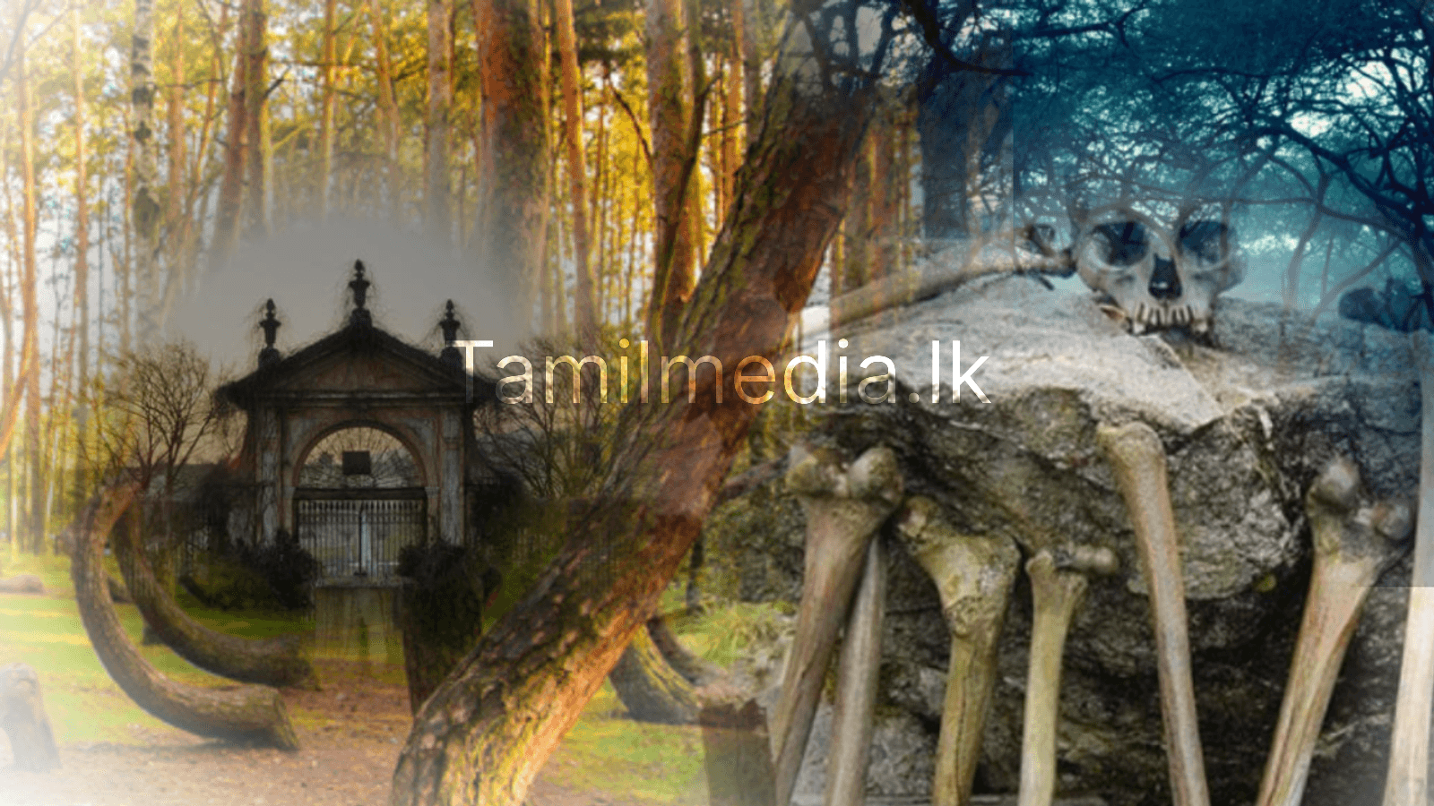 உலகில் தீர்க்கப்படாத 5 மர்மங்கள்