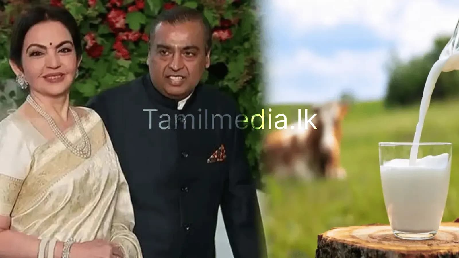அம்பானி குடிக்கும் பாலின் விலை எவ்வளவு தெரியுமா?