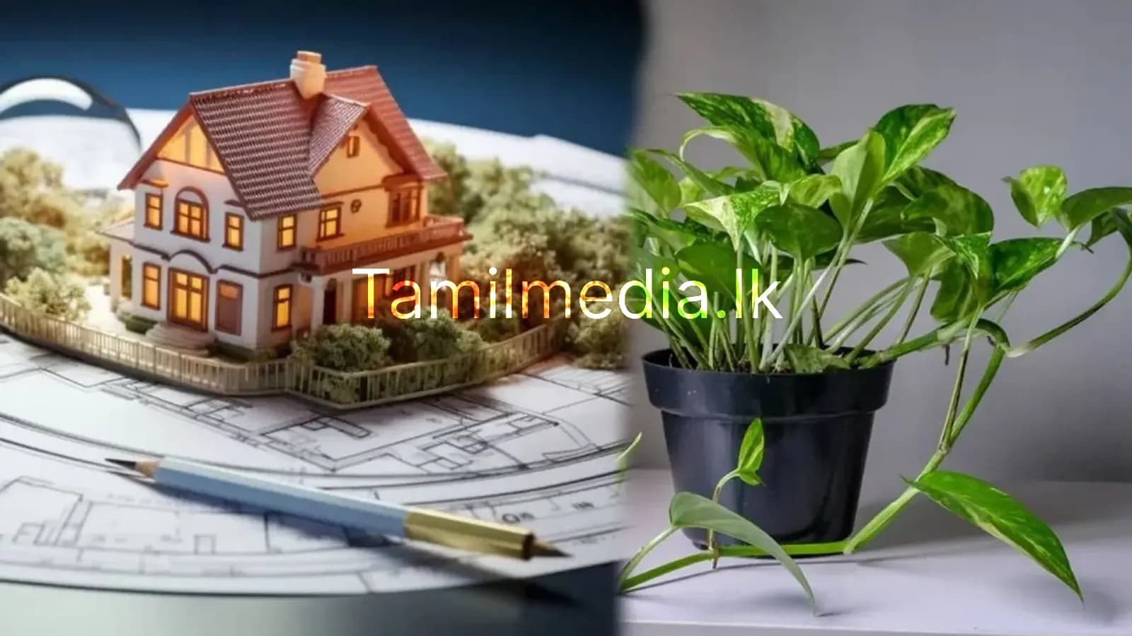 பண வருமானம் அதிகரிக்க இந்த 7 செடிகள் தேவை!