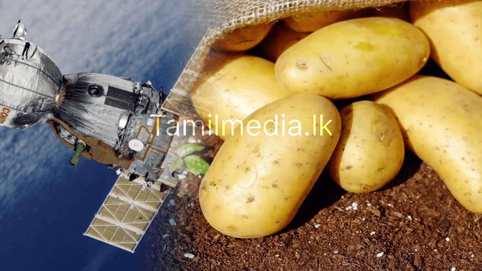 விண்வெளியில் வளர்க்கப்பட்ட முதல் காய்கறி வெளிச்சம்