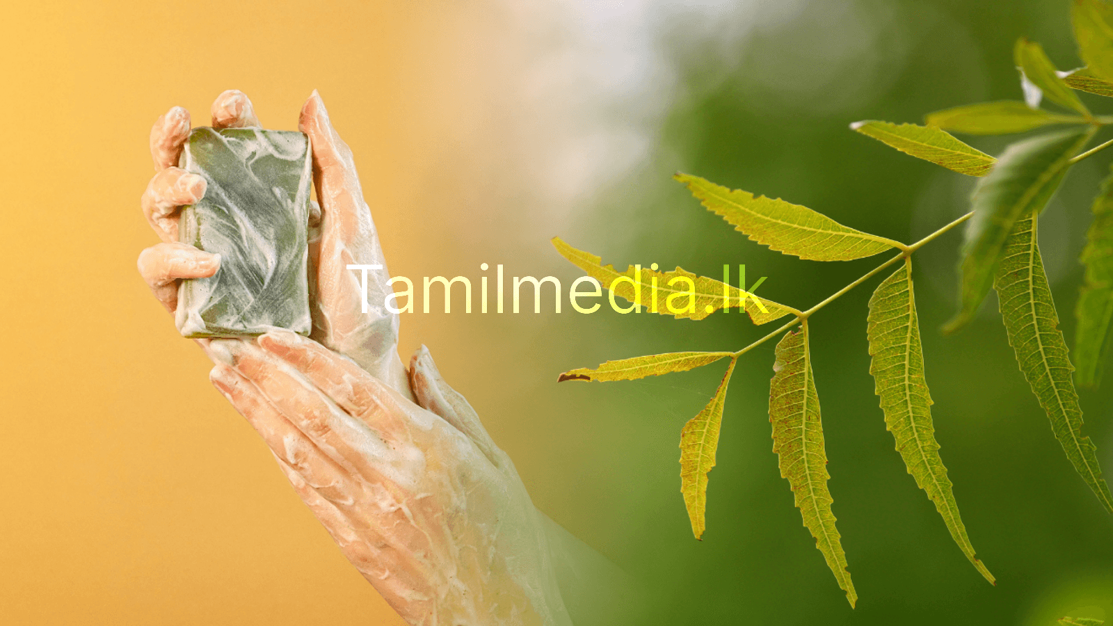 இளமையாக இருக்க வீட்டிலேயே செய்யலாம் வேப்பிலை சோப்பு