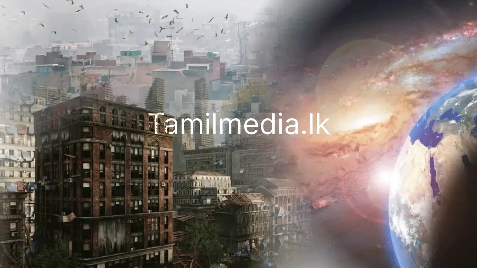 மனிதர்கள் இல்லையேல் பூமியின் நிலை எப்படி இருக்கும்?