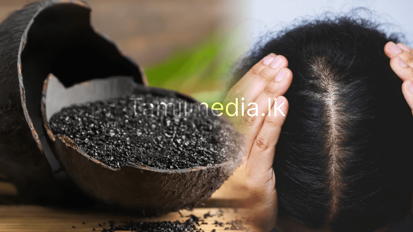 இளநரை மறையும் தேங்காய் சிரட்டை கரித்தூள்