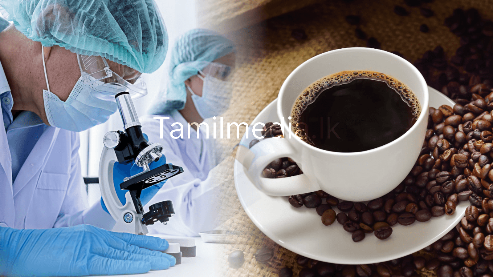 காபி அதிகமா குடிப்பது நலம் தருமா தீமை செய்யுமா?