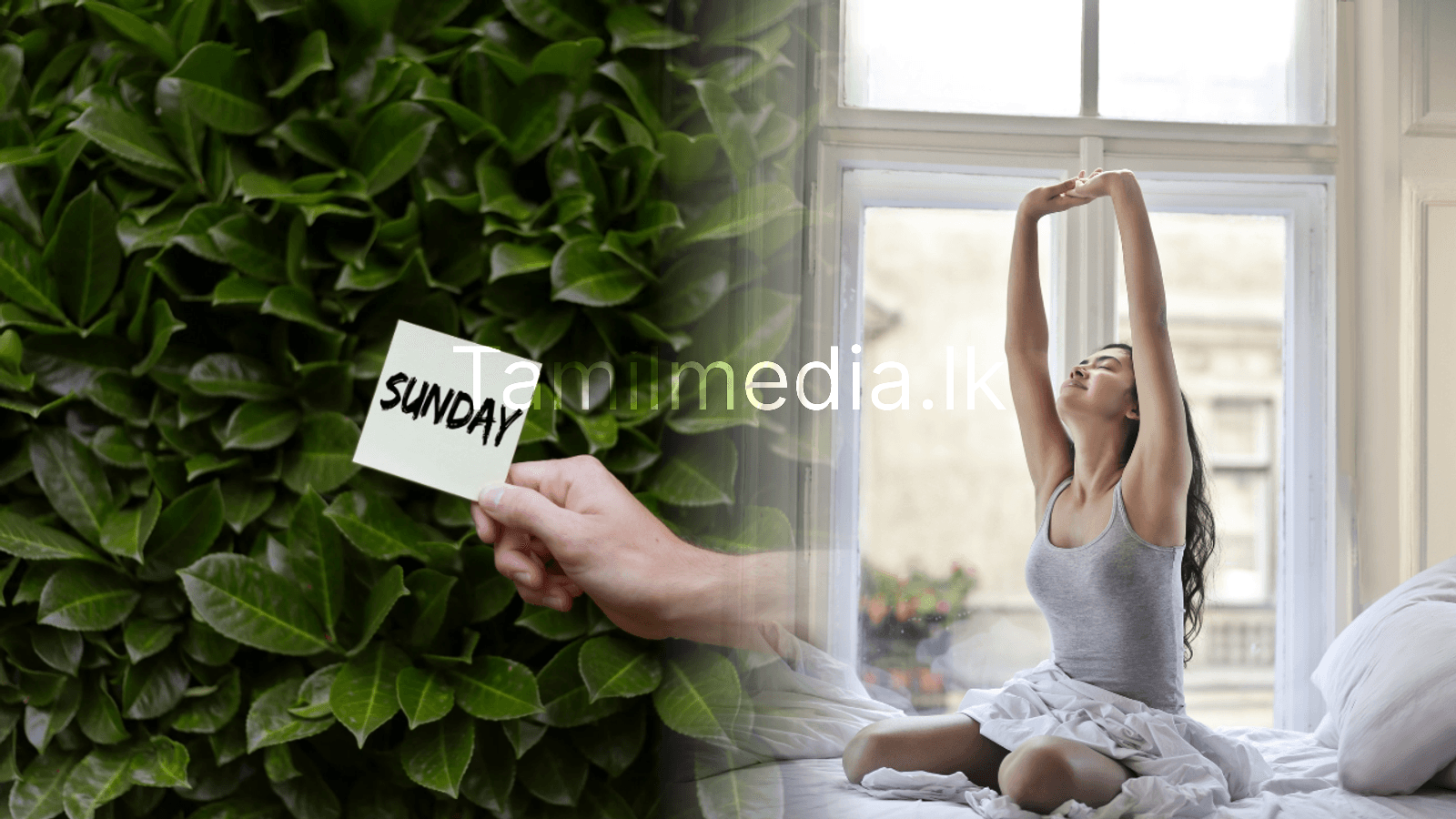 ஞாயிற்றுக்கிழமை காலை உங்களை ஊக்குவிக்கவும்