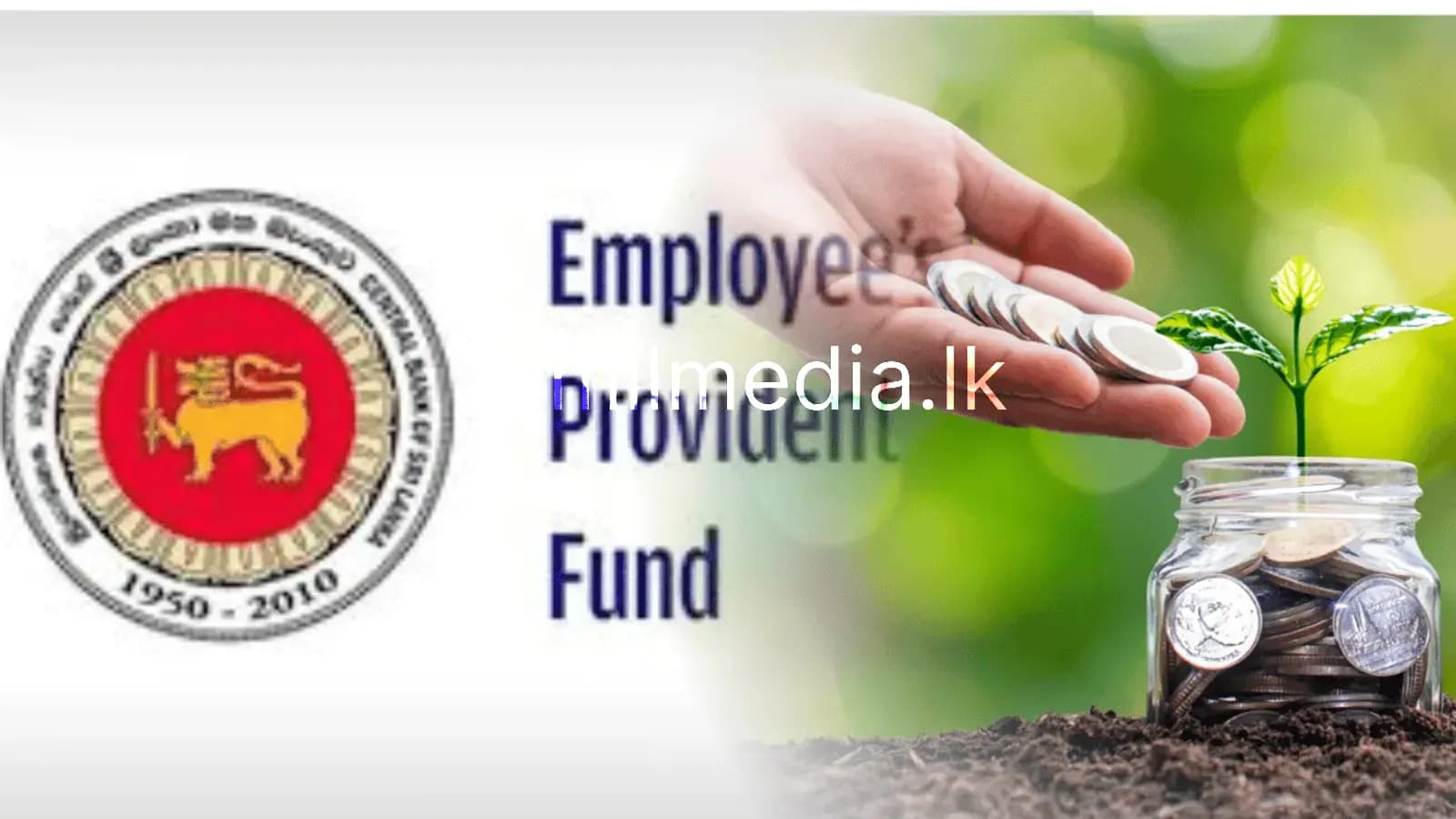 சம்பளத்துடன் சேரும் உரிமைகள்- EPF திட்ட விளக்கம்