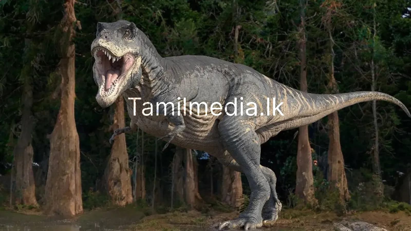 டைனோசர்கள் விண்கல் மோதலுக்கு முன்பே அழிந்து விட்டதா?