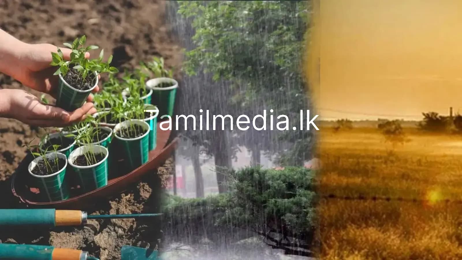 காலநிலை மாற்றம் உங்கள் வாழ்க்கையை எவ்வாறு பாதிக்கும்?