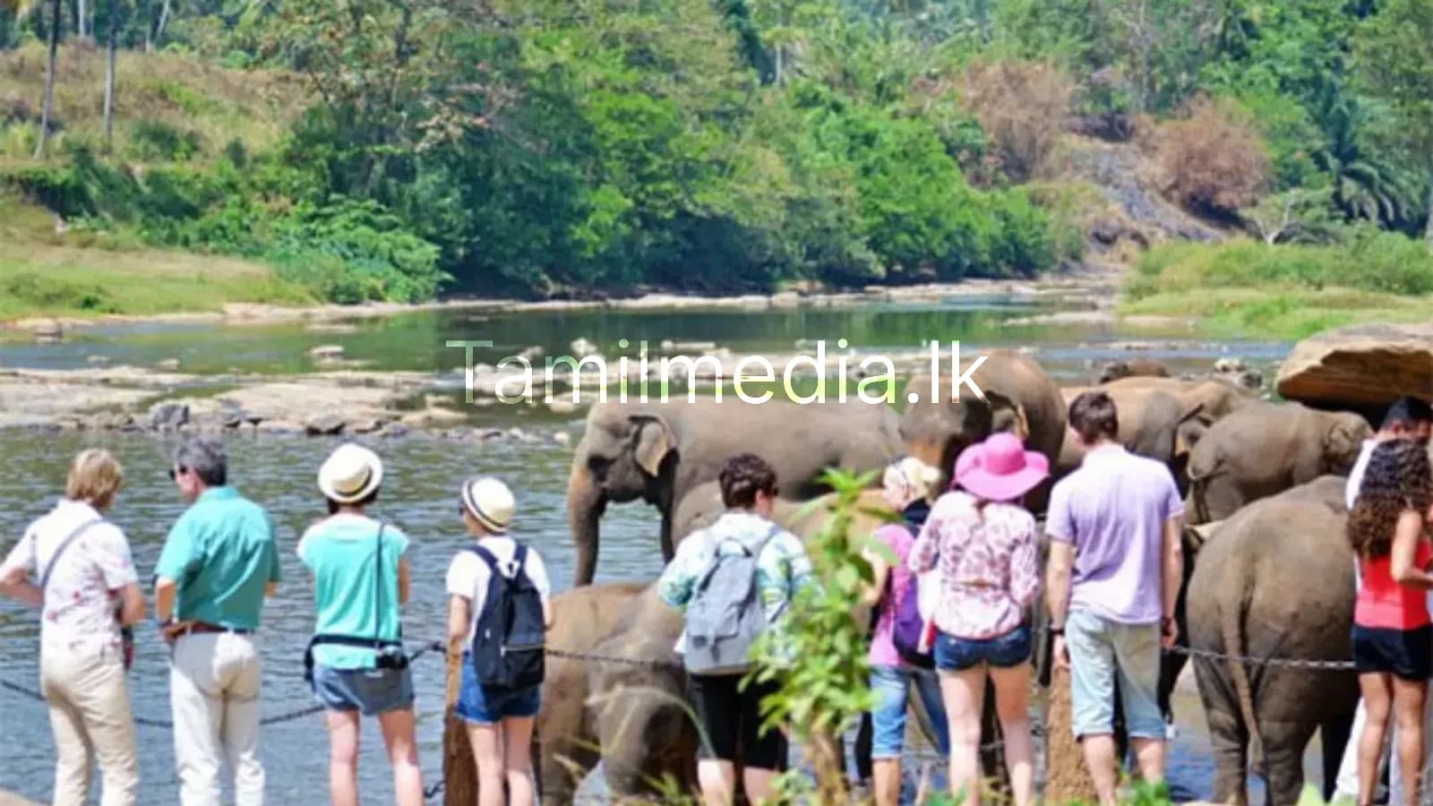 2025இல் இலங்கை வந்த சுற்றுலா பயணிகள் எண்ணிக்கை எவ்வளவு?