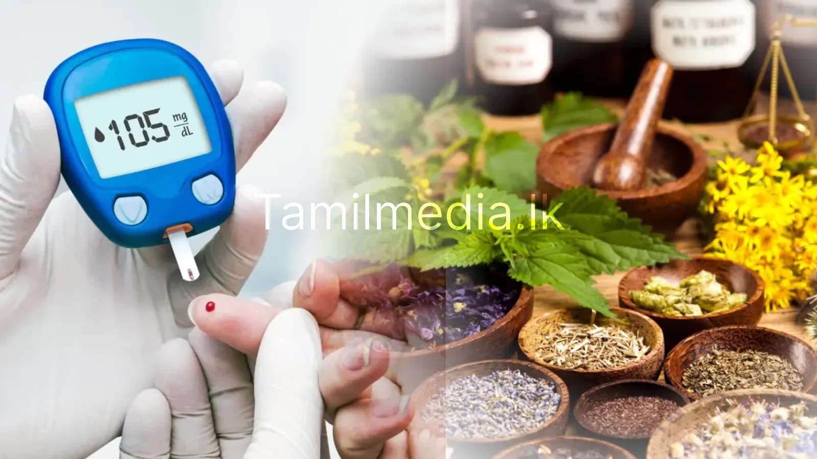 சித்த மருத்துவம் தேசிய திட்டங்களில் சேர்க்க கோரிக்கை