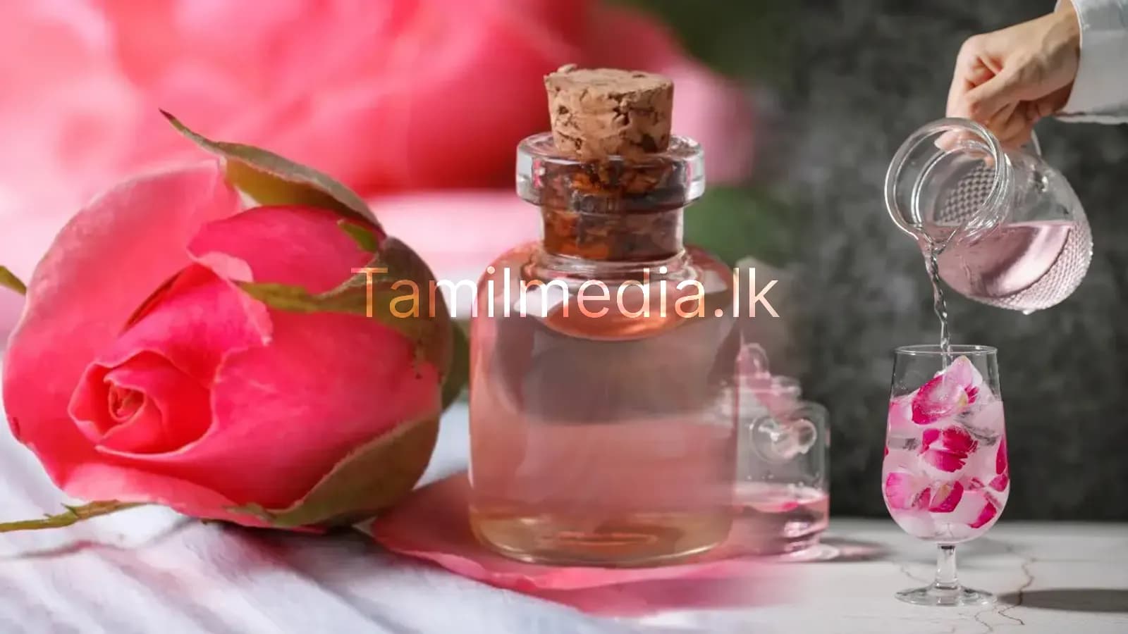 ரோஸ் வாட்டர் பயன்படுத்தும் 5 சிறந்த வழிகள்