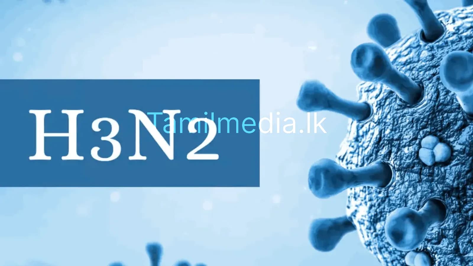 டெல்லியில் அதிவேகமாக பரவும் H3N2 காய்ச்சல்