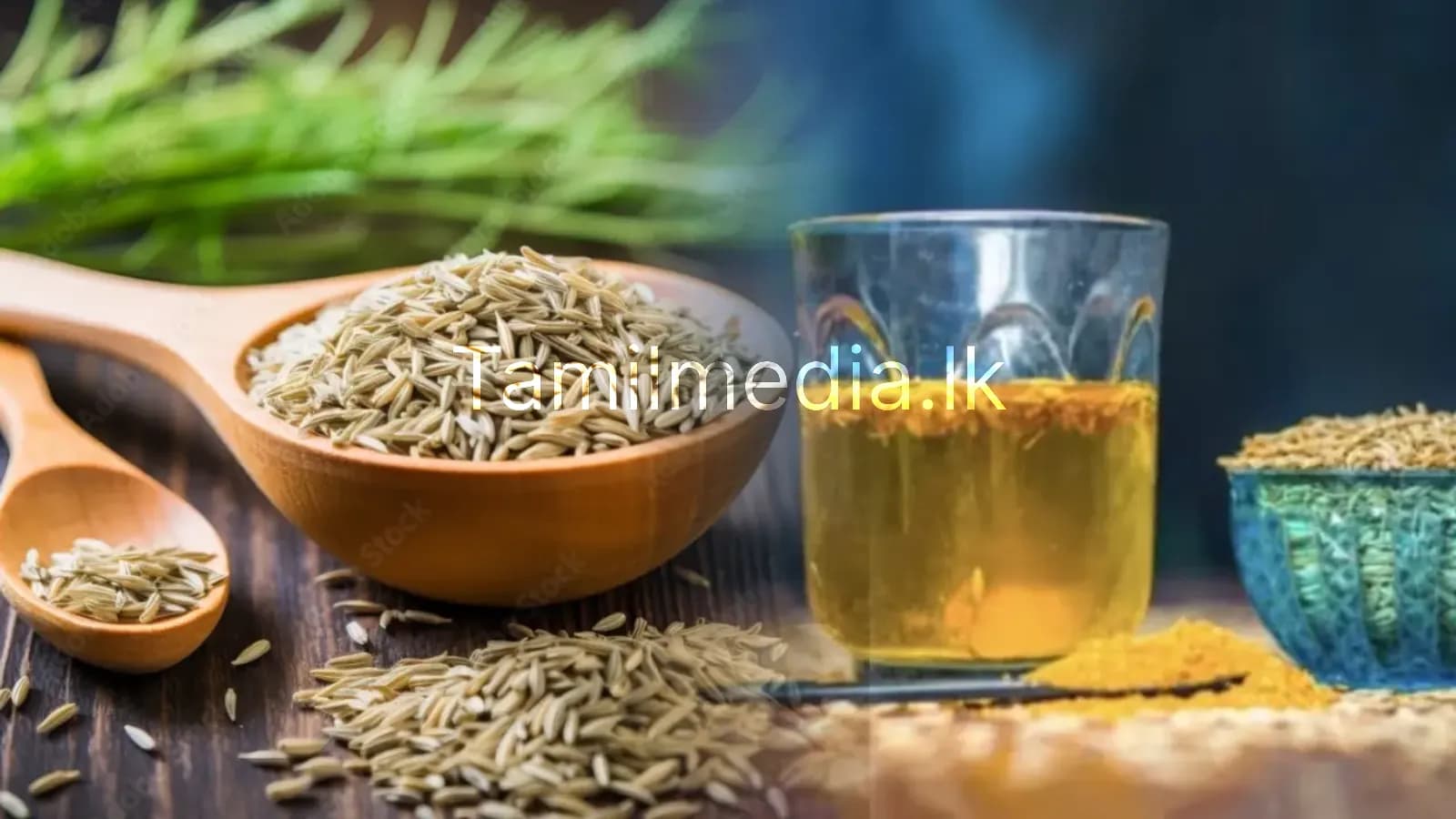 காலை நேரத்தில் சீரகநீர் குடிப்பதால் கிடைக்கும் அற்புதம்