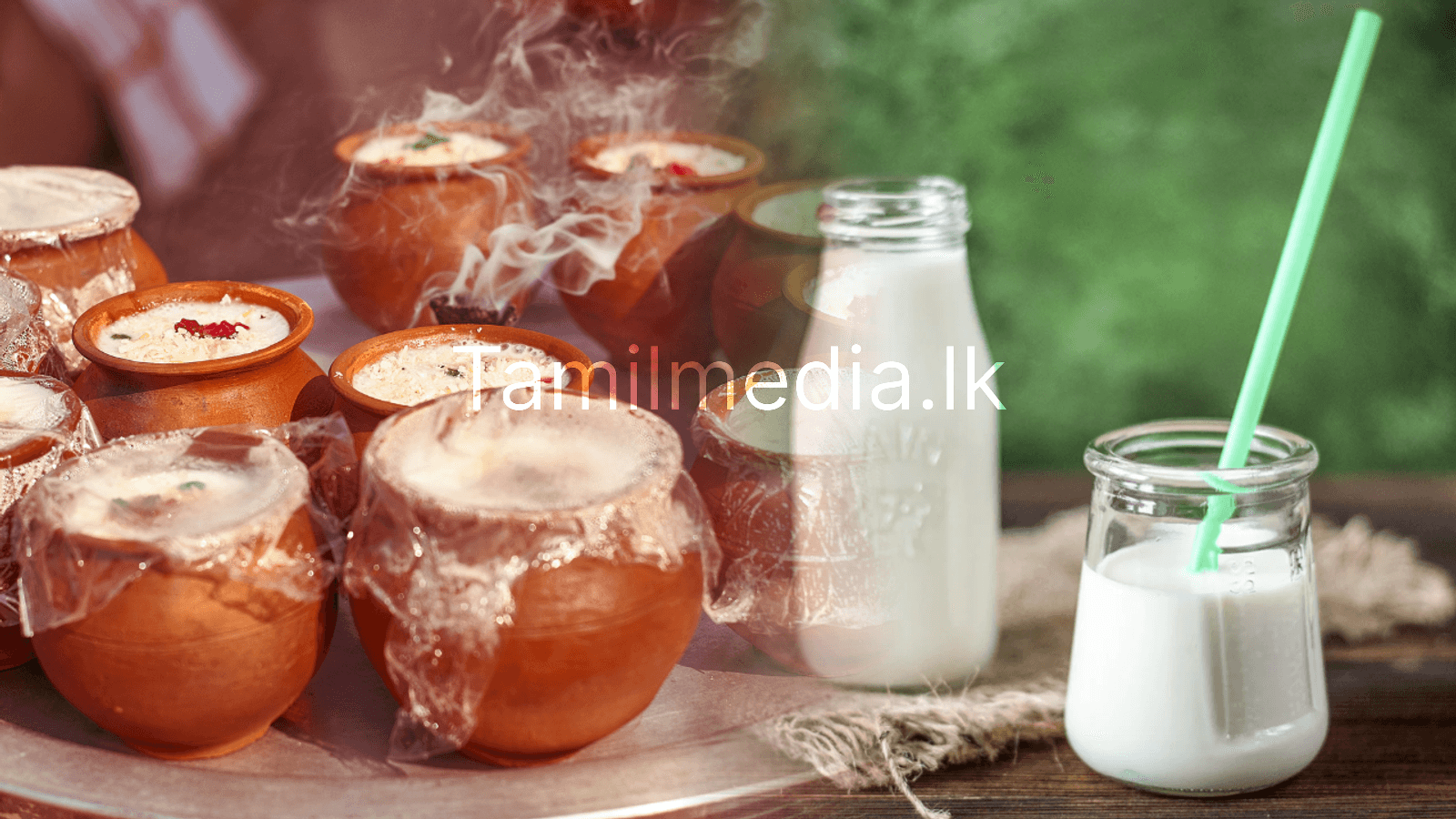 தயிர் vs மோர்: செரிமானத்திற்கு எது சிறந்தது?