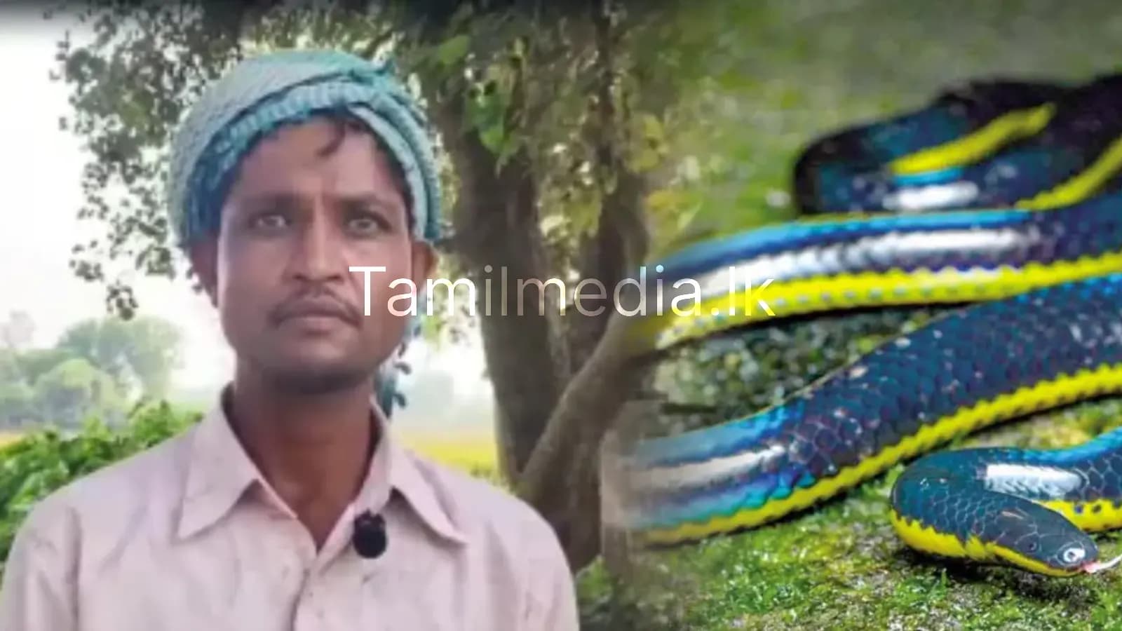 மனைவி “பாம்பாக உருமாறி” கணவனை அச்சுறுத்தியதாக புகார்