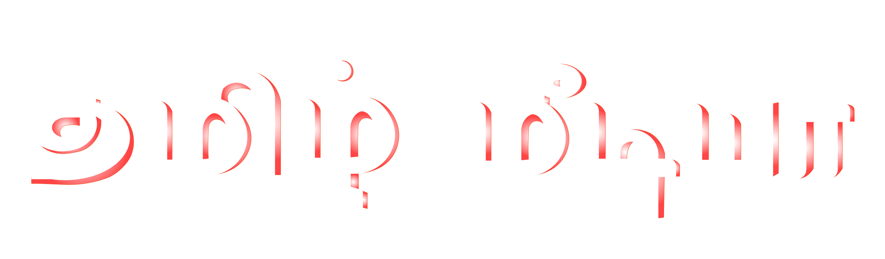 Website Logo